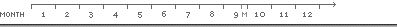 Timeline